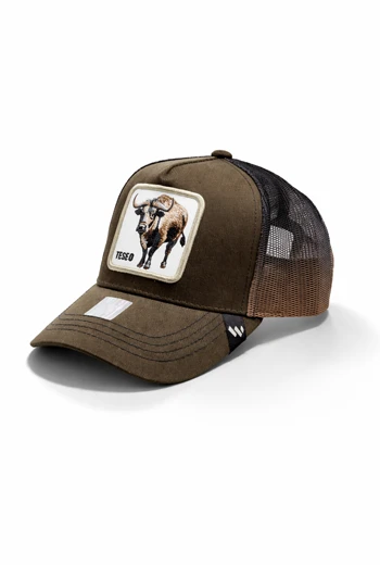 GORRA MARRÓN CON PARCHE BORDADO Y MALLA DEGRADADA